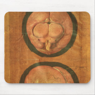 Anatomical drawing of the human brain mouse pad
