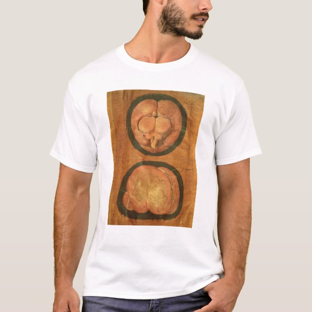 Anatomical drawing of the human brain T-Shirt (Front)