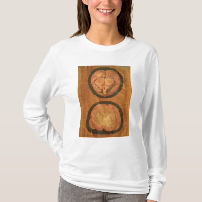 Anatomical drawing of the human brain T-Shirt (Front)