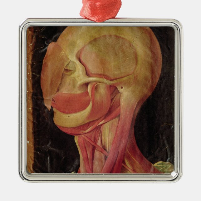 Anatomical drawing of the human head metal tree decoration (Front)