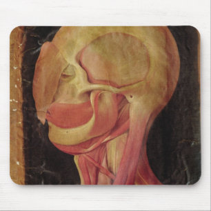 Anatomical drawing of the human head mouse pad