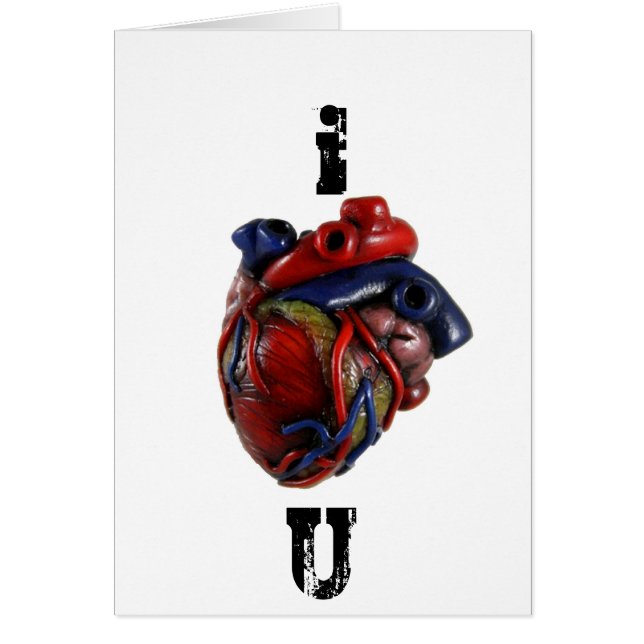 Anatomical Heart (Front)