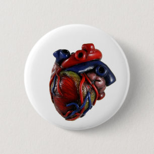 Anatomical Heart 6 Cm Round Badge