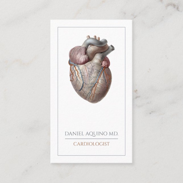 Anatomical Heart Cardiologist Business Card (Front)