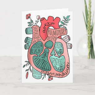 Anatomical Heart Cardiology Icu Cvicu Nurse In The Card
