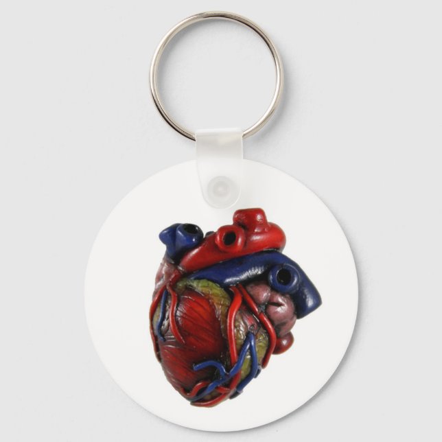 Anatomical Heart Key Ring (Front)