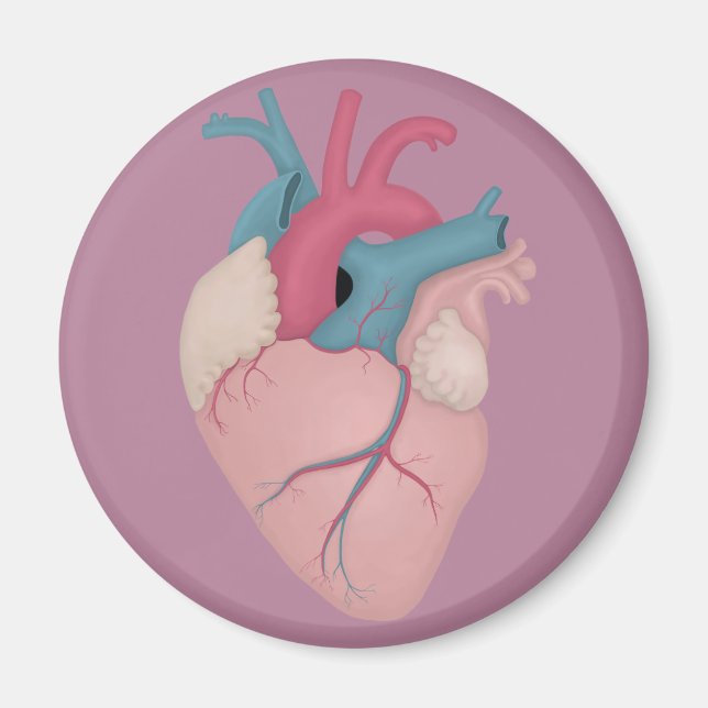 Anatomical Heart Magnet (Front)