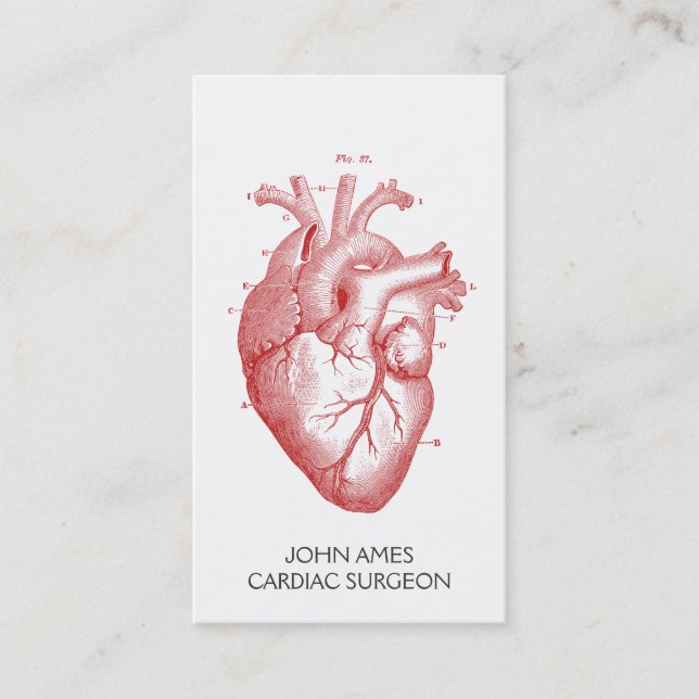 Anatomical Heart Medical Cardiac Surgeon Business Card (Front)