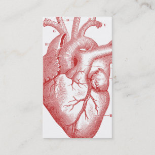 Anatomical Heart Profile or Business Card
