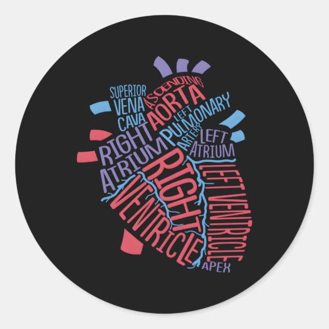 Anatomical Hu He Cardiology Medical Cardiac Nurse Classic Round Sticker (Front)