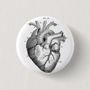 Anatomical Human Heart Diagram button pin