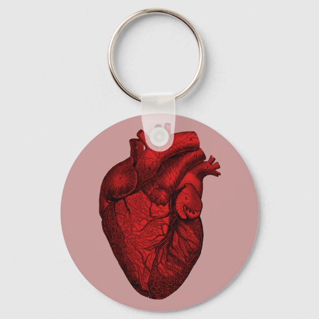 Anatomical Human Heart Key Ring (Front)