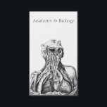 Anatomical Illustration Medical Sciences Business Card<br><div class="desc">This vintage scientific illustration with typeface adds a stately classical look to this business card. A perfect fit for a university professor of anatomy and biology. Other uses may include a profile card for a biologist.</div>