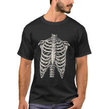 Anatomical Ribcage Skeleton