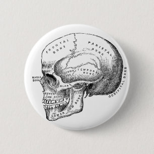 Anatomical Skull Pin Button