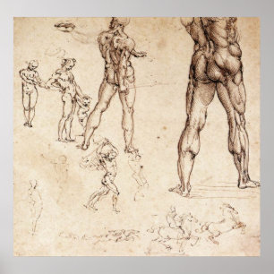 Anatomical  Studies Poster