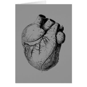 Anatomically Correct Heart