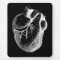 Anatomically Correct Heart
