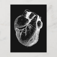 Anatomically Correct Heart