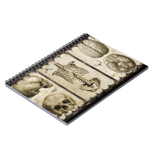 Anatomise Spiral Notebook