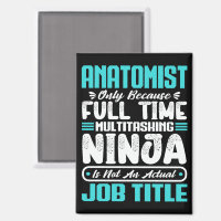 Anatomist Job Title Profession Anatomy Physiology
