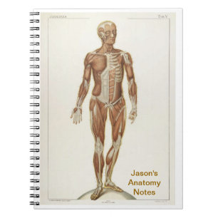 Anatomy Anterior Spiral Notebook