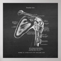 Anatomy Art No.1 Shoulder Joint