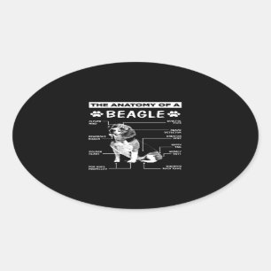 Anatomy Beagle Dog Oval Sticker