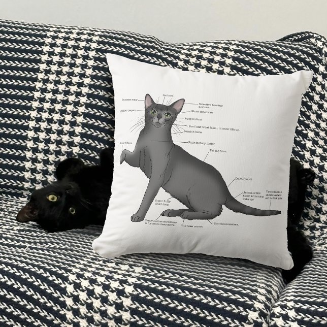 Anatomy Cat Funny Cushion (Creator Uploaded)