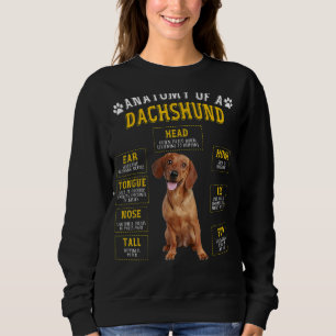 Anatomy Dachshund  For Women Men Sweatshirt