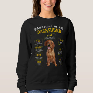 Anatomy Dachshund  For Women Men Sweatshirt