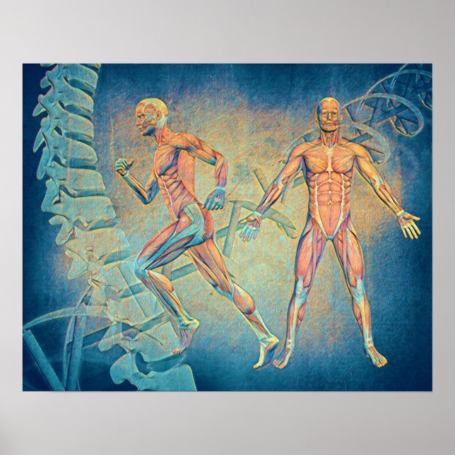 Anatomy Digital Art Poster (Front)