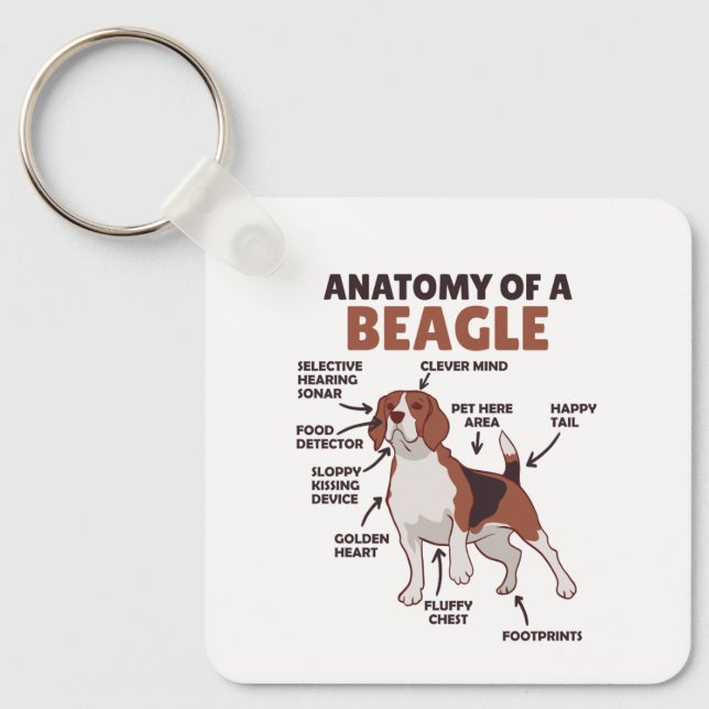 Anatomy Of A Beagle Cute Dogs Funny Dog Beagle Key Ring (Front)