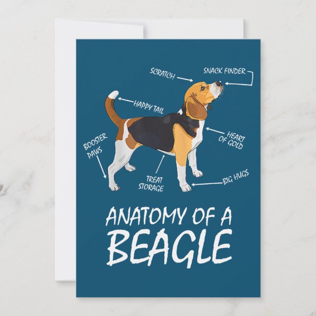 Anatomy Of A Beagle Dog Lovers (Front)