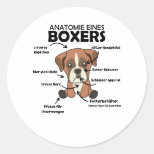 Anatomy Of A Boxer Sweet Dog Puppy Classic Round Sticker
