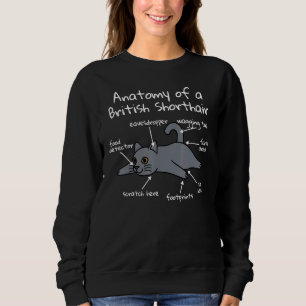 Anatomy Of A British Shorthair Cat Pet Sweatshirt