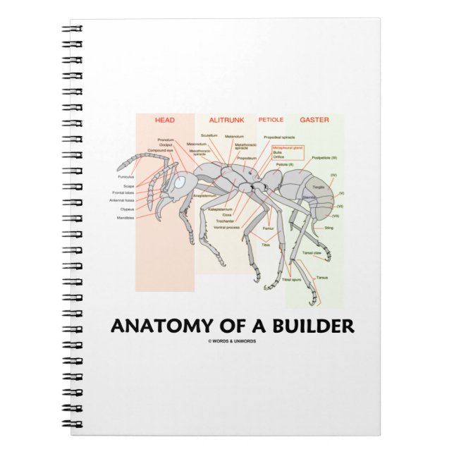 Anatomy Of A Builder (Worker Ant Anatomy) Spiral Notebook (Front)