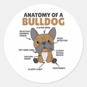 Anatomy Of A Bulldog Dogs Funny Puppy Classic Round Sticker