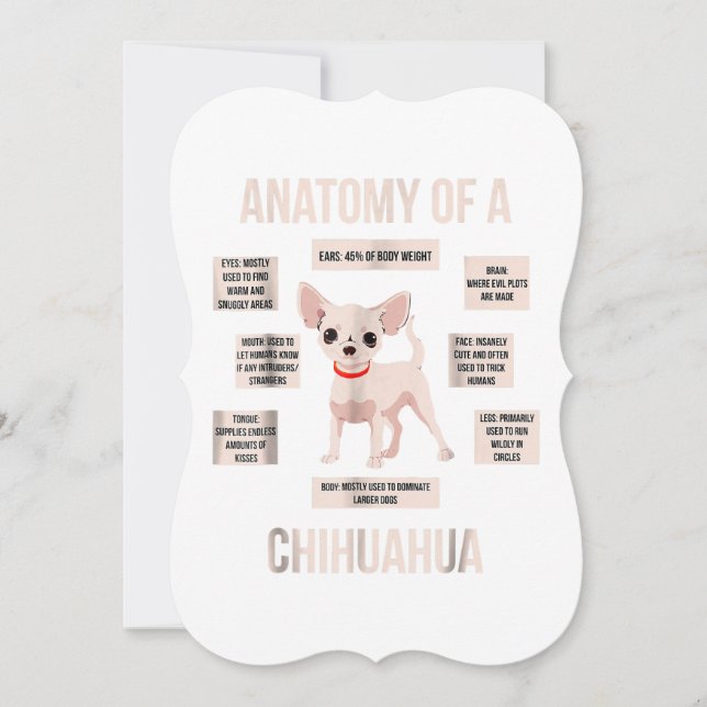 anatomy of a chihuahua  funny puppy gift (Front)