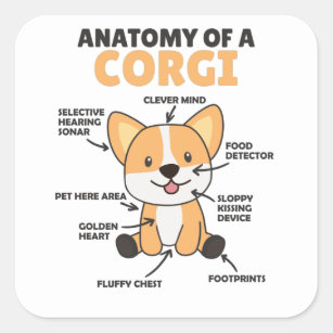Anatomy Of A Corgi Cute Dogs Funny Puppy Square Sticker