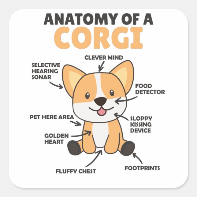 Anatomy Of A Corgi Cute Dogs Funny Puppy Square Sticker (Front)
