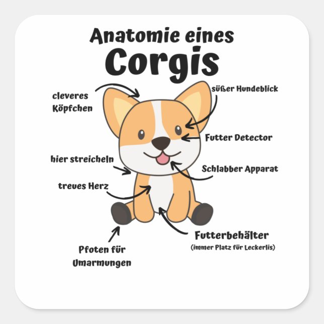 Anatomy Of A Corgi Cute Dogs Funny Puppy Square Sticker (Front)