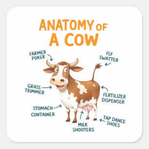 Anatomy of a Cow   Funny Doctor Day Square Sticker