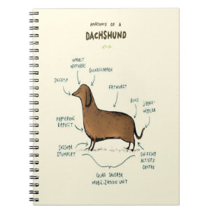 Anatomy Of A Dachshund   Dachshund Dog Lovers Notebook