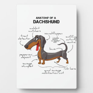 Anatomy Of A Dachshund - Funny Dog Plaque
