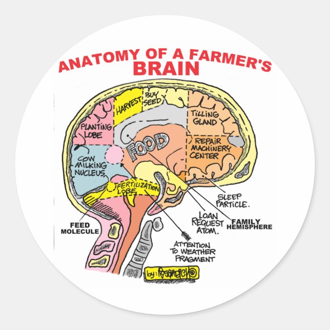 ANATOMY OF A FARMER'S BRAIN CLASSIC ROUND STICKER (Front)