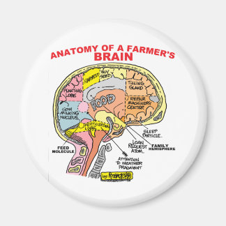 ANATOMY OF A FARMER'S BRAIN MAGNET