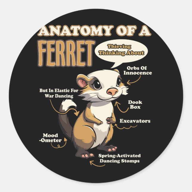 Anatomy Of A Ferret Lover Wildlife Animal Ferret O Classic Round Sticker (Front)