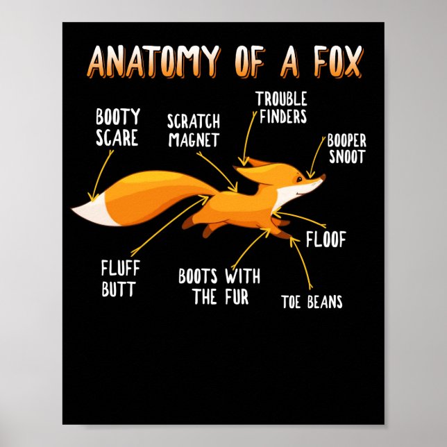 Anatomy Of A Fox Cute Sweet Carnivore Animal Gift Poster (Front)