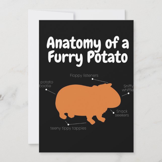 Anatomy Of A Furry Potato | Cute Guinea Pig Announcement (Front)